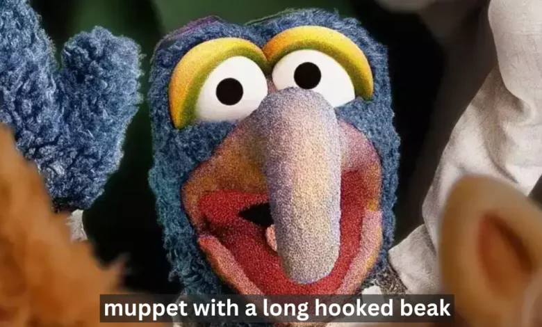 muppet with long hooked beak