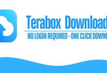 Terabox Online Player