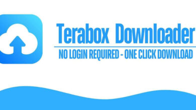 Terabox Online Player